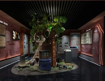 福建武夷山博物館2019年